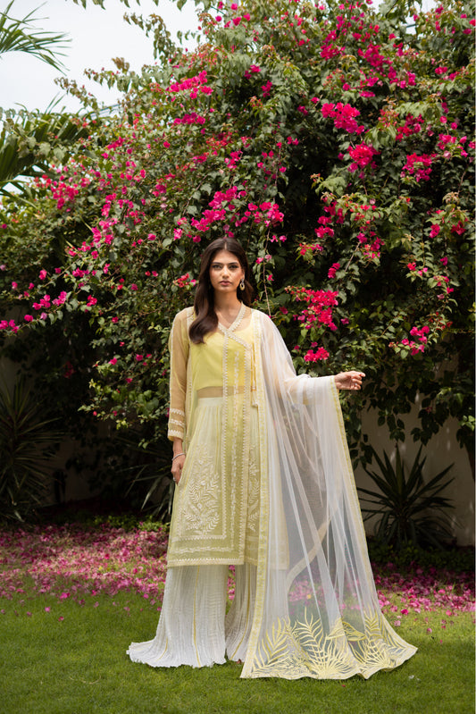 Misra Pastle organza jaune Angrakha et Azaar écrasé avec Dupatta